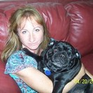 Happy Waggin Tails Pet Sitting