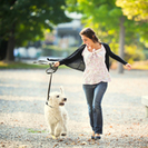 River Run Pet Sitters LLC