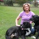 Happy At Home Pet Sitting