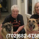 A Pawsatively Purrrfect Pet Sitting Service