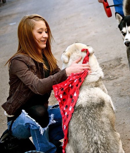 sit and stay pet care