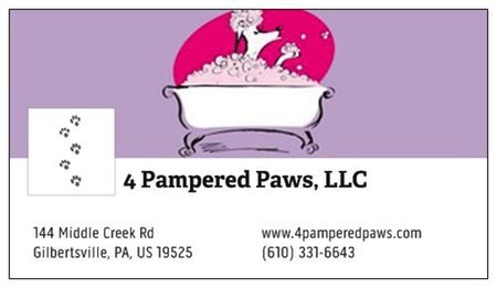 pampered paws hours