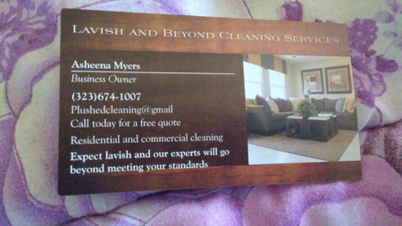 lavish and beyond cleaning services care com los angeles ca house house cleaning help wanted
