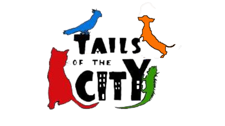 city pet care