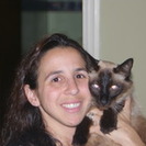 paws and purrs pet sitting