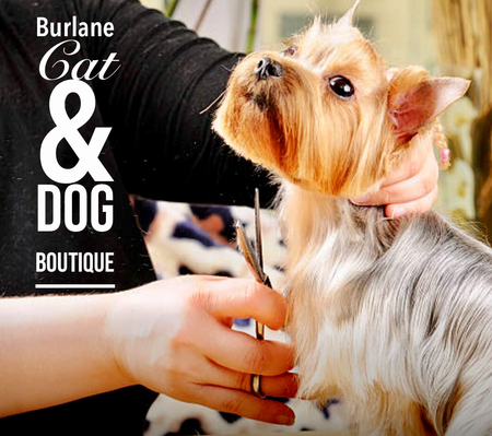 burlane cat and dog boutique