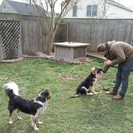 Erin's Pet Adventure, LLC.