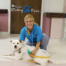 Nanda's Walking Paws