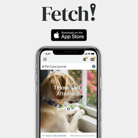 fetch pet store