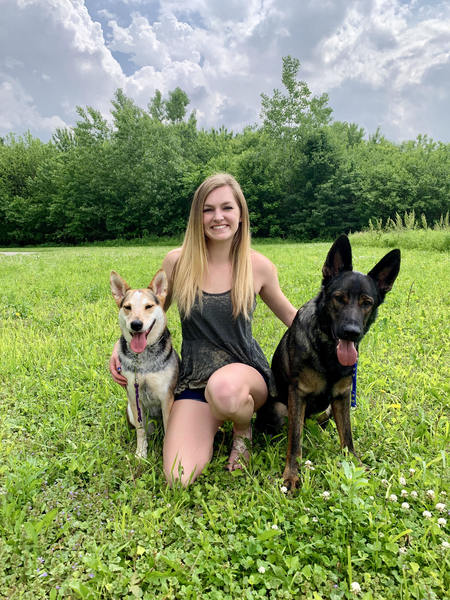 joint forces k9 group