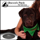 Rocco's Pack Pet Services