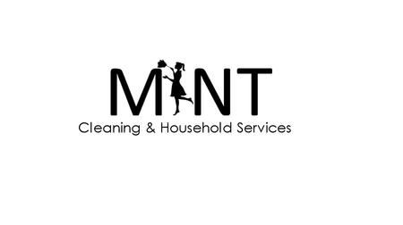 mint cleaning household services care com hazel park mi cleaning house services