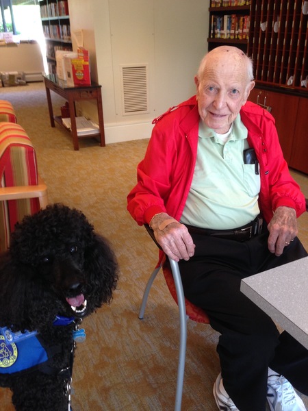 Home Care Agencies In Newton Ma