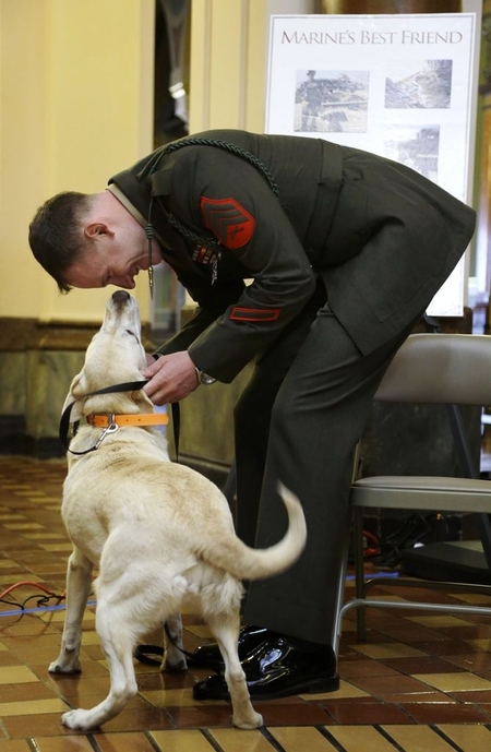 sun prairie pet clinic