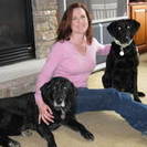 Lucky Dogs Canine Services