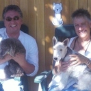 Happy Paws Pet Sitting Plus