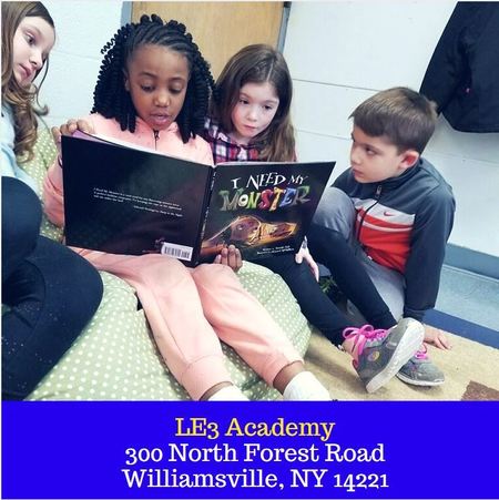 Le3 Inc Care Com Williamsville Ny