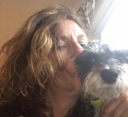 dog boarding cape cod