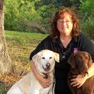 Fetch! Pet Care of Brevard