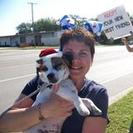 Love All Beings Pet Sitting, LLC