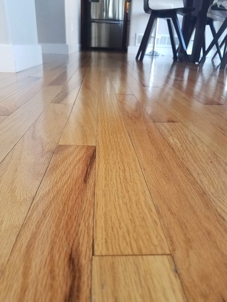 a a cleaning llc care com fort collins co house cleaning service house cleaning fort collins