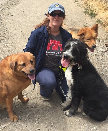 happier at home dog walking