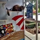 The Cats' Inn