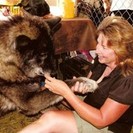 Love Your Pet, Pet Sitters, LLC