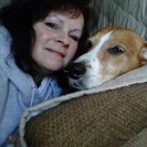 Villaridge Pet Sitters LLC