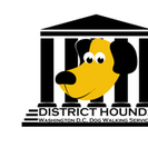 District Hounds