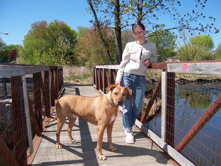 purrfect pet transport