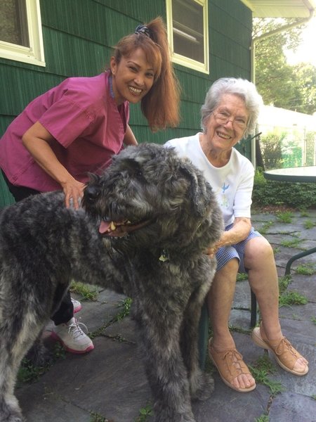 Home Care Agencies In Hudson Valley Ny