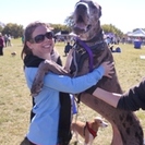 Canines' Companions