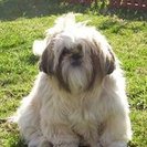Fetch! Pet Care of Greater Seattle and the East Side