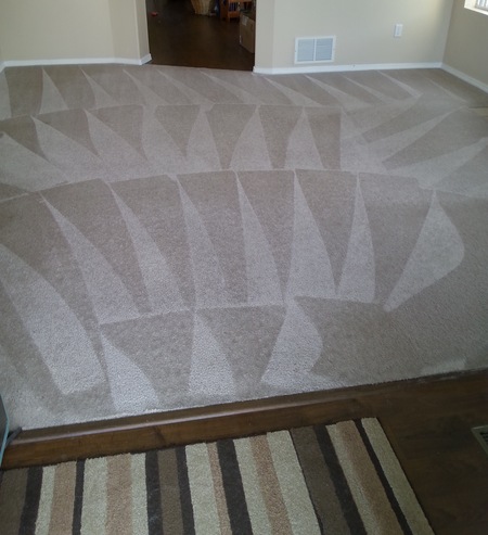 Absolute Floors More Llc Care Com Colorado Springs Co Generic