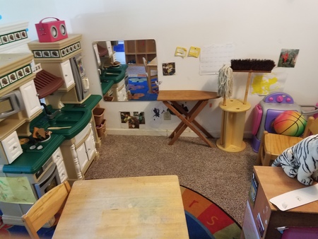 kitty daycare near me