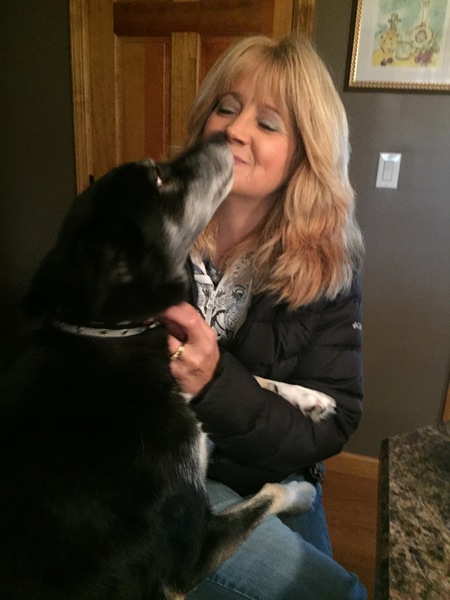 home from home pet care