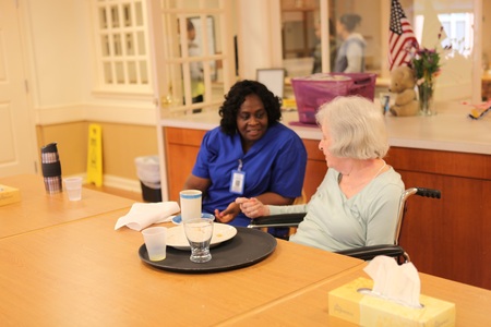 Home Health Care Agencies In Alexandria Va