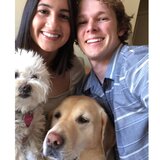 dog walker needed near me