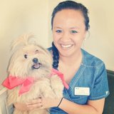 Top 10 Pet Sitters Near Me Starting At 12 75 Hr Care Com