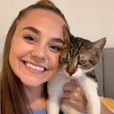 cat sitter needed near me